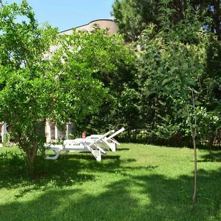 Vila Fejza